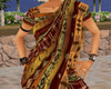 Indian Sari 2