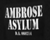 Ambrose Asylum