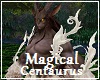 Magical Centaurus FV