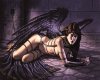 Dark Angel