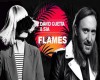 David Guetta-Flames