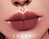 U. Under Lip VI