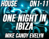 House One Night In Ibiza