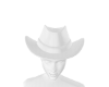  White Hat