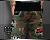 Camo Shorts with Patches