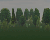GP*ADD trees Room