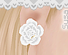 Pure // Rose Earrings