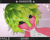 |Pitaya Hair|
