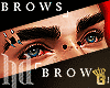 HD♣BROWS
