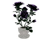 Black & Purple Roses