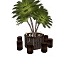 AAP-Palm Tree Bartable