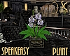 SC Speakeasy Planter