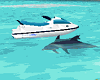 JetSki Ride /w Dolphin*