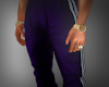 Purple Sweats