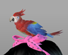 OX! Parrot Small