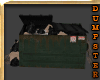 Alley Dumpster