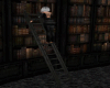 Escalera Fantasy Library