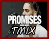 AARON MOSES - Promises