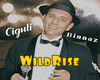 Ciguli Binnaz Remix