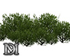 Plant  ♛ DM