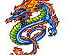 (RD)dragon fire tee