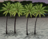 BR'S(Animated Palm)1 