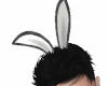 *777* Bunny Ears