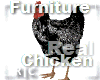 R|C Black Chicken