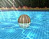 Jadis Water Volleyball