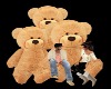 Teddy Bear Poses