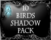 ~A~ 10 Birds Shadow Pk