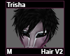 Trisha Hair M V2