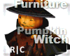 R|C Pumpkin Witch 4 FV