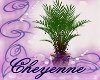 C~ Plant 1