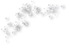 White Flowers- L