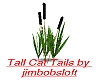 Tall Cat Tails