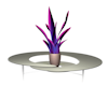 deco modern/plants