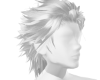 white wolf