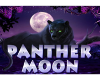 Panther moon poster