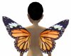 Dainty monarch wings