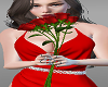 Red Roses w Poses