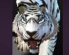 Queen White TIGER ROaring SOund Halloween COstume Scary Big Cats