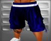 BLUE Jordan shorts