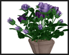 Purple Flowers ~