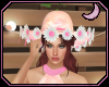 [🌙]Daisy Hat Pink
