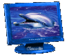 Animated Dolphin 18