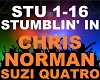 Chris Norman Suzi Quatro