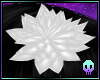 White Hair Blossom