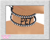 *CC* B/S Pet Collar
