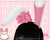 p. bunny white ears